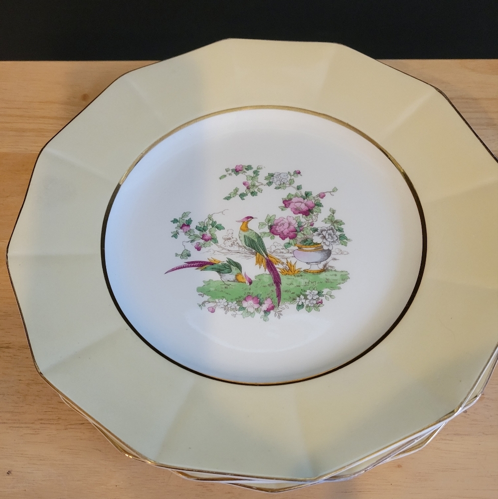 Four Vintage Myott, Don & Co. Pheasant Dining Plates
